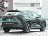 NX 250 バージョンL 