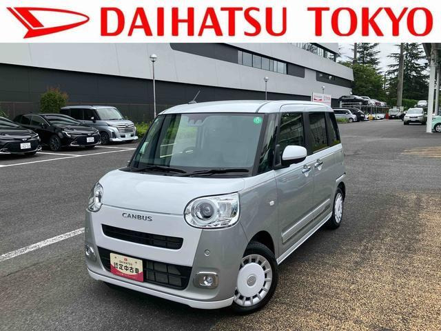 ムーヴキャンバス  ストライプス G