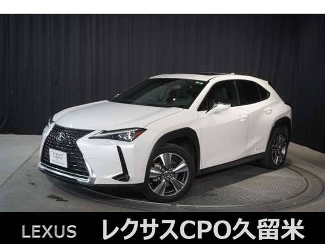 UX300e バージョンL