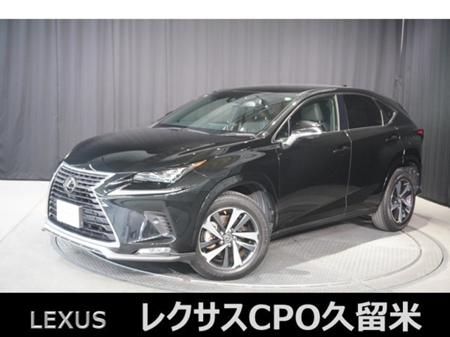 NX 300 スパイス&シック