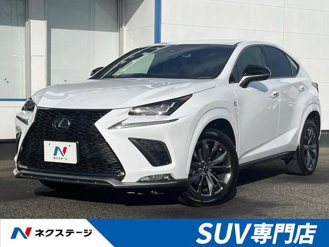 NX 300 Fスポーツ 