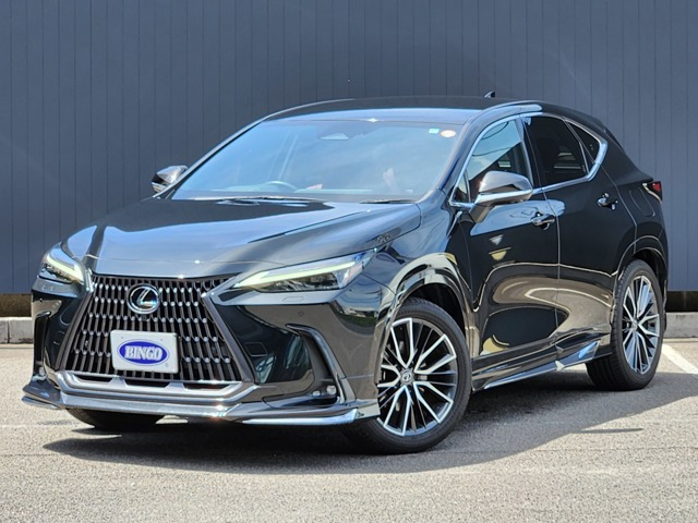 NX 350h バージョンL モデリスタエアロ