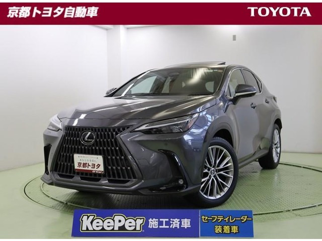 NX 250 バージョンL NX 250 バージョンL