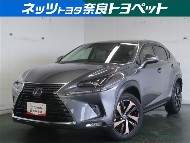 NX 300h バージョンL 