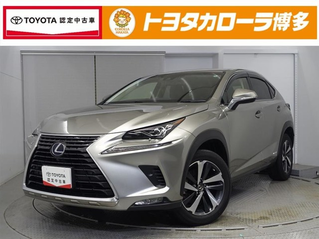 NX 300h Iパッケージ 