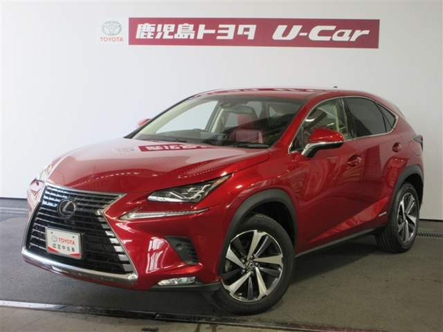 NX 300h バージョンL 