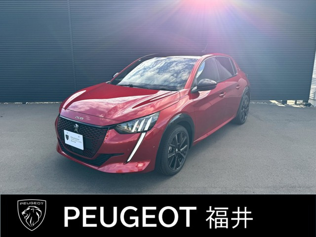 e-208 GT 