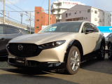 ★こちらの車は,弊社オリジナル架装車両かつ持込検査が必要なため、近隣府県ならびにご来店にて現車をご覧頂き、継続的なメンテナンスでのご来場が可能な方への販売に限らせていただきます。
