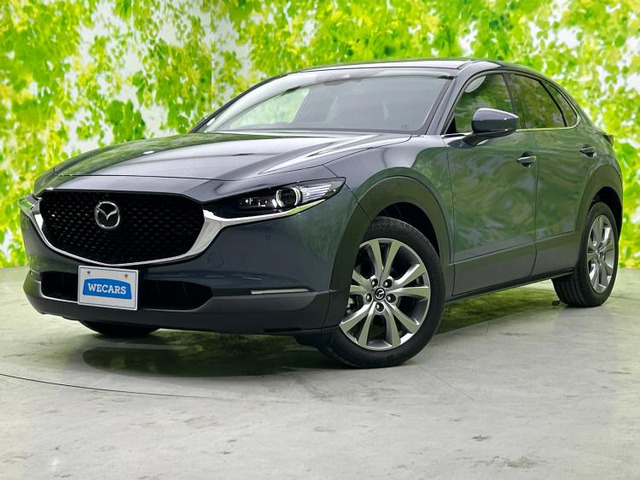 CX-30 2.0 20S プロアクティブ ツーリングセレクション 