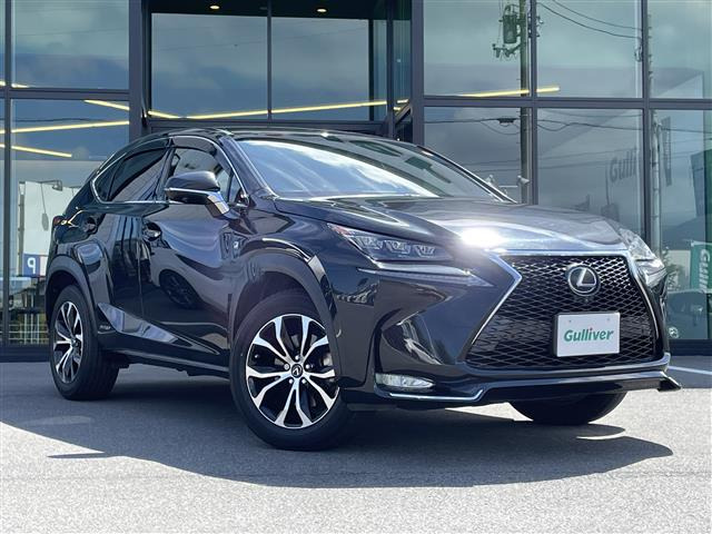 NX 300h Fスポーツ 本革シート 修復歴無し