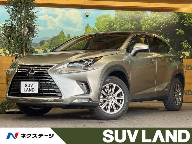 NX 300h Iパッケージ 