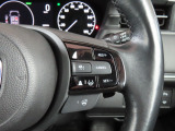 クルーズコントロールが装備されており、高速道路で定速走行が出来ます。前車との車間を自動で調整してくれる機能付きですのでドライブが快適です。