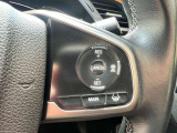 クルーズコントロールつき。高速道路や自動車専用道路でお使いいただけます。長距離運転は疲労がたまりがち・・・でも大丈夫!快適に運転していただけます。