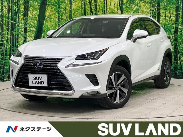 NX 300h Iパッケージ 