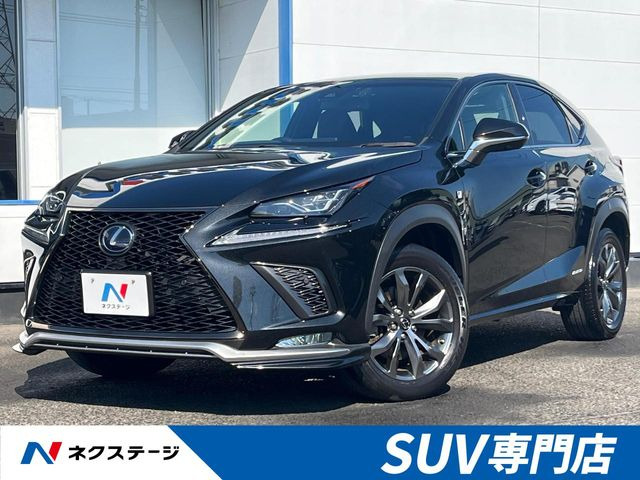 NX 300h Fスポーツ 
