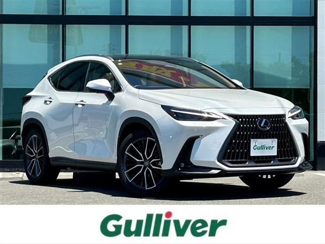 NX 250 バージョンL 本革シート サンルーフ