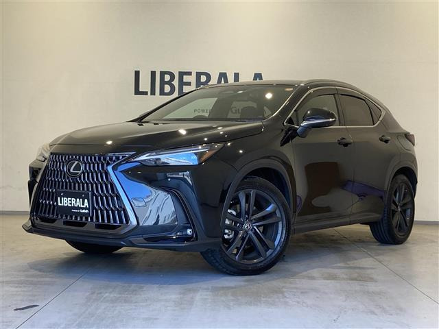 NX 250 バージョンL サンルーフ 修復歴無し
