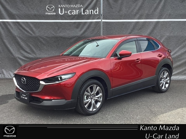 CX-302.0 20S 4WD