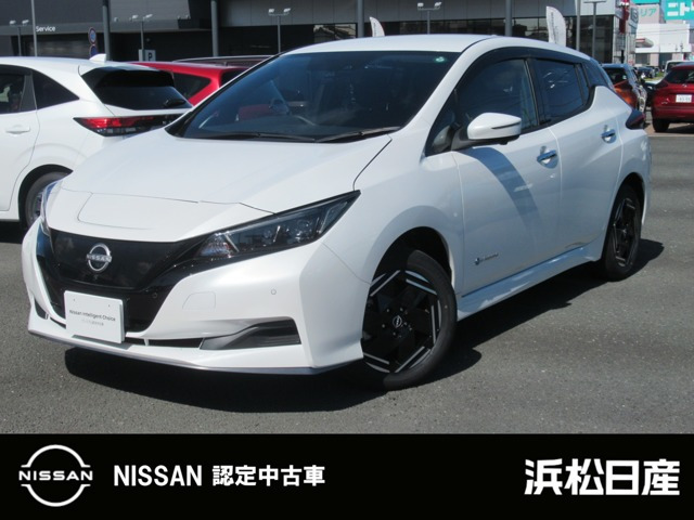リーフe+ X