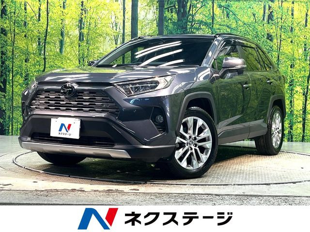 RAV4  G Zパッケージ