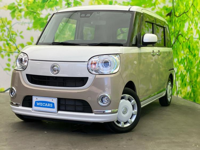 ムーヴキャンバス G メイクアップ リミテッド SAIII 