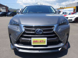 NX 300h 