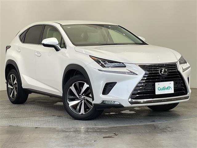 NX 300 Iパッケージ 本革シート ワンオーナー