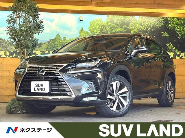 NX 300h Iパッケージ 