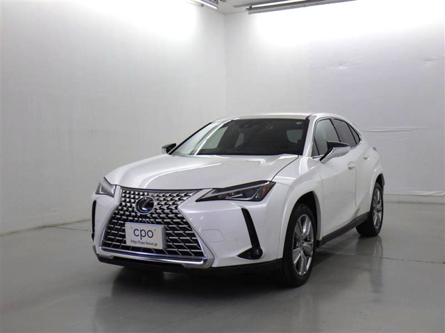 UX250h グレイスフル エクスプローラー