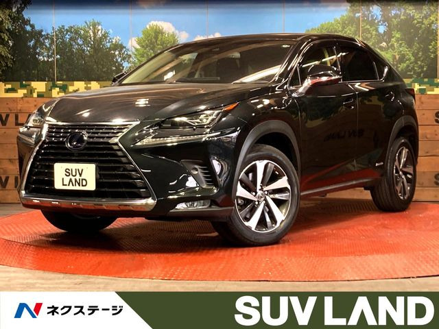 NX 300h Iパッケージ 