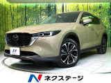 4WD メーカーナビ 全周囲カメラ 後席モニター 衝突軽減 パワーシート