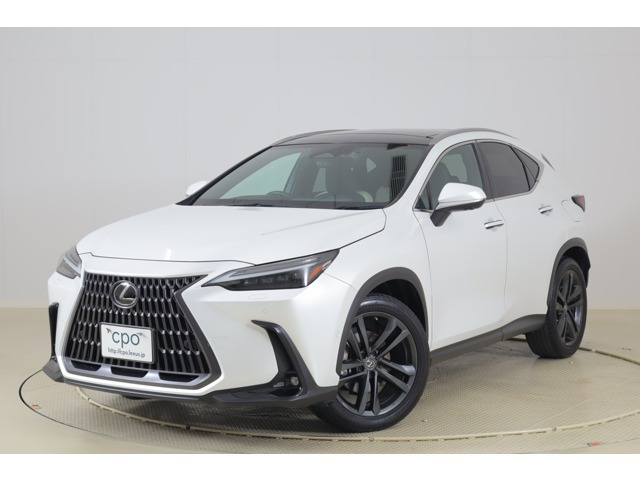 NX 350h バージョンL 
