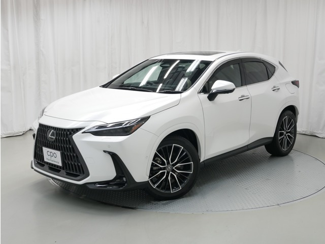 NX450hプラス バージョンL 4WD