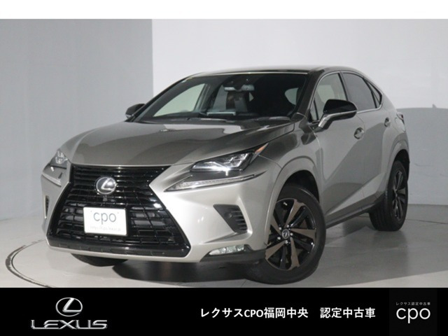 NX 300 ブロンズ エディション 