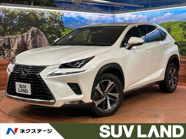 NX300 バージョンL
