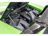 Carbon fiber engine bonnet