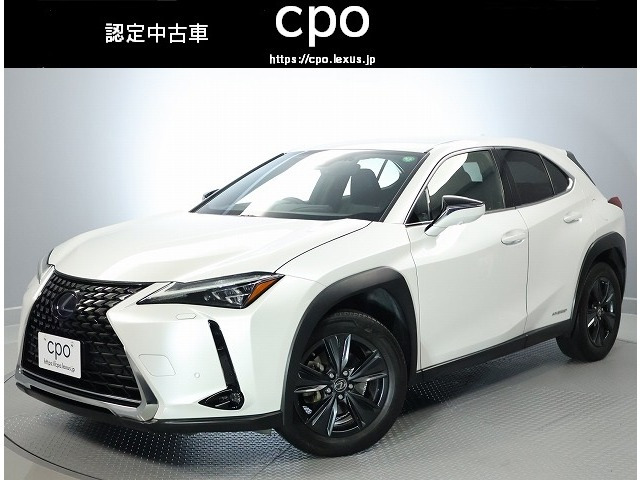 UX250hブラウン エディション