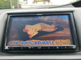 気になるお車がありましたら右の電話番号から直接お店にお問い合わせください。支払方法から車両情報、状態までなんでもご説明させて頂きます。スタッフ一同ご連絡お待ちしております。