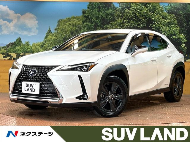 UX250h バージョンC