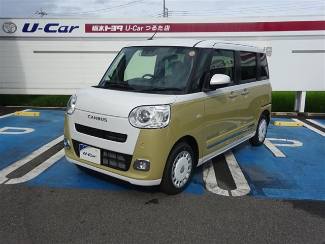 ムーヴキャンバス  ストライプス G