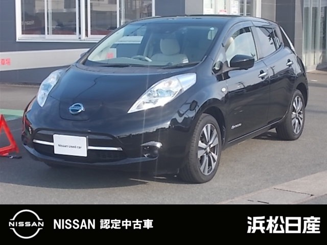 リーフ30kWh X サンクス エディション