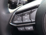 ステアリング左側にはオーディオコントロールスイッチを搭載。走行中でも簡単に音量の上げ下げ、曲の送り戻し、モードの切り替えが可能です。クイックに切り替えてお好みの音楽で楽しいドライブを!