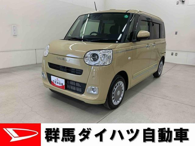 ムーヴキャンバス  セオリー G