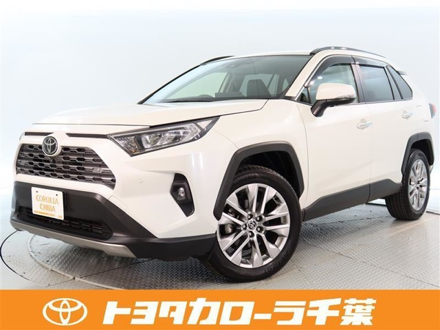 トヨタ RAV4 2.0 G Zパッケージ 4WD の中古車詳細 (8,000km