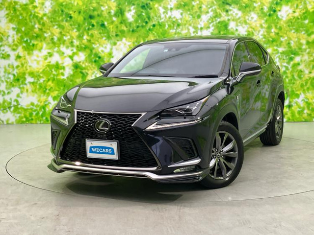 NX 300 Fスポーツ 4WD 