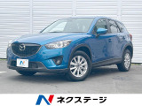 ディスチャージパッケージ SDナビ バックカメラ クルーズコントロール