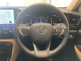 NX 250 バージョンL 本革シート サンルーフ