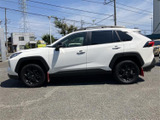 RAV4 2.0 アドベンチャー オフロードパッケージ II 4WD 