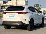 NX 350h Fスポーツ 
