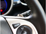 リバーサイドでは、全車試乗可能ですので各お客様、ご納得行くまでご検討中のお車とのフィーリングを確認できます。